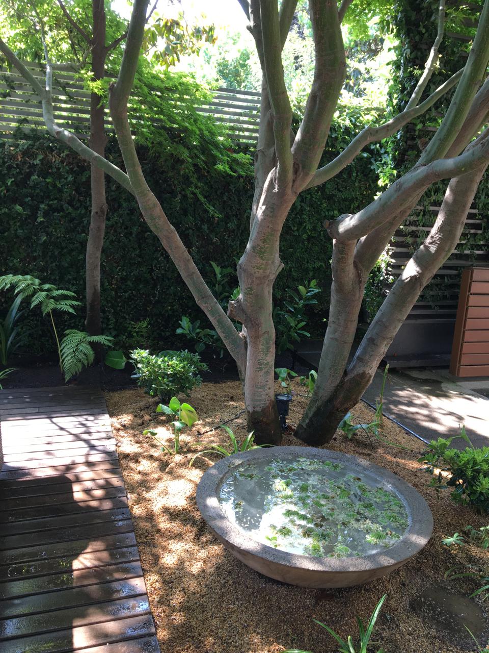 Jardín íntimo con árbol y fuente de agua
