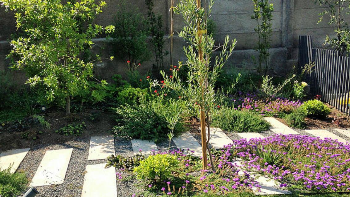 Jardín con flores silvestres y camino de losas