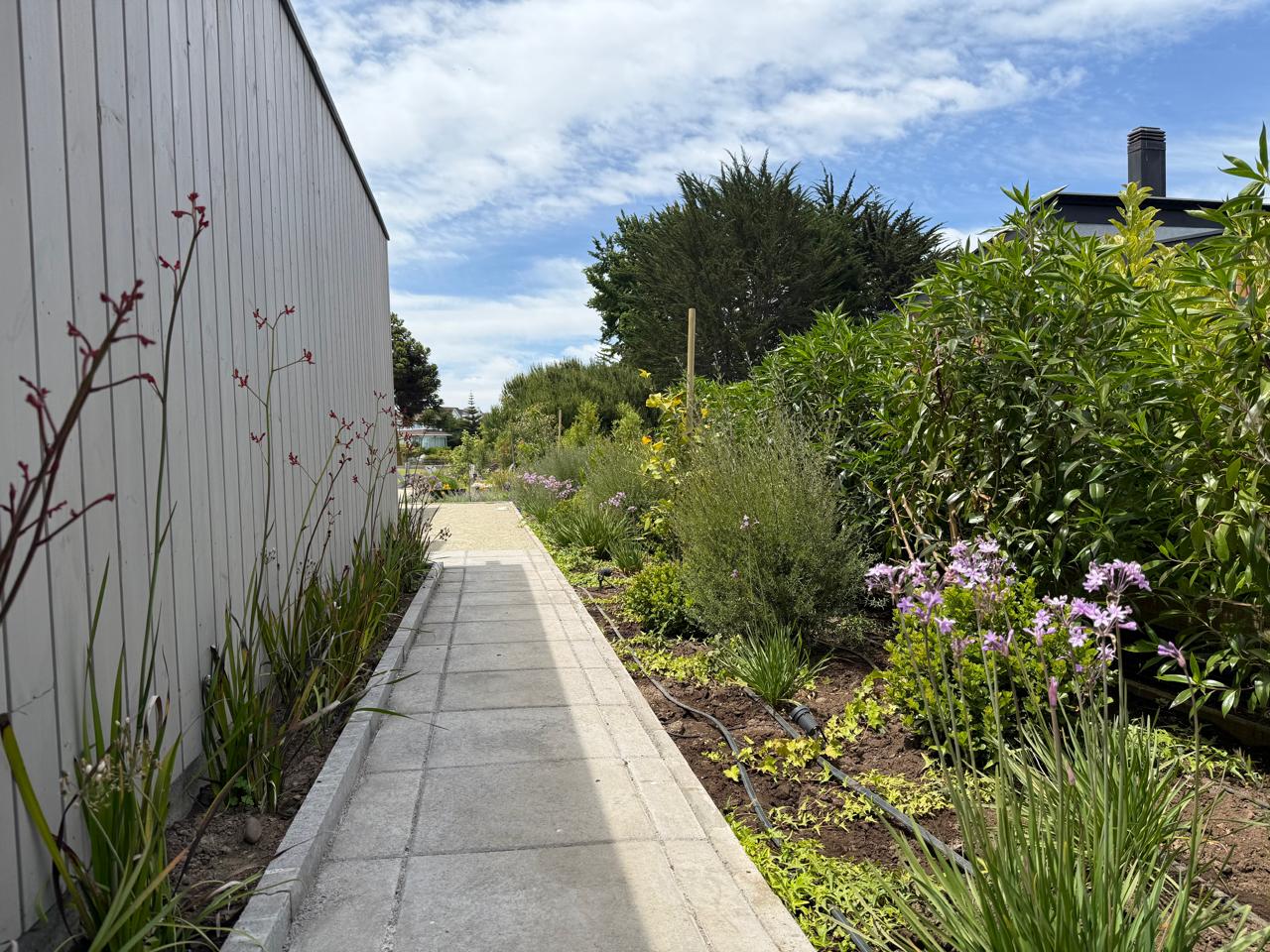 Corredor paisajístico con flores y arbustos